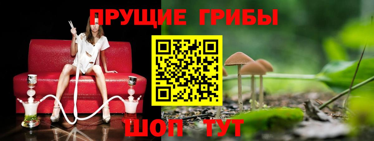 ГЕРОИН Ялуторовск